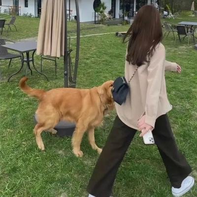 歌声泪痕