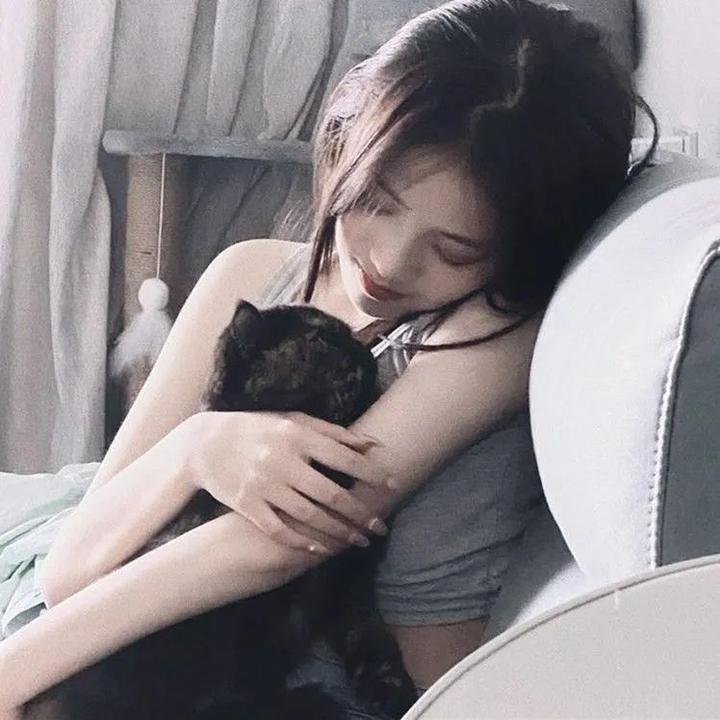 三只小猪